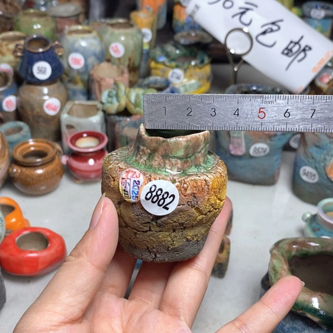 拍3送一个小礼物