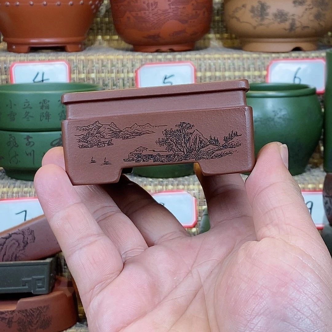 紫砂花盆我在等他