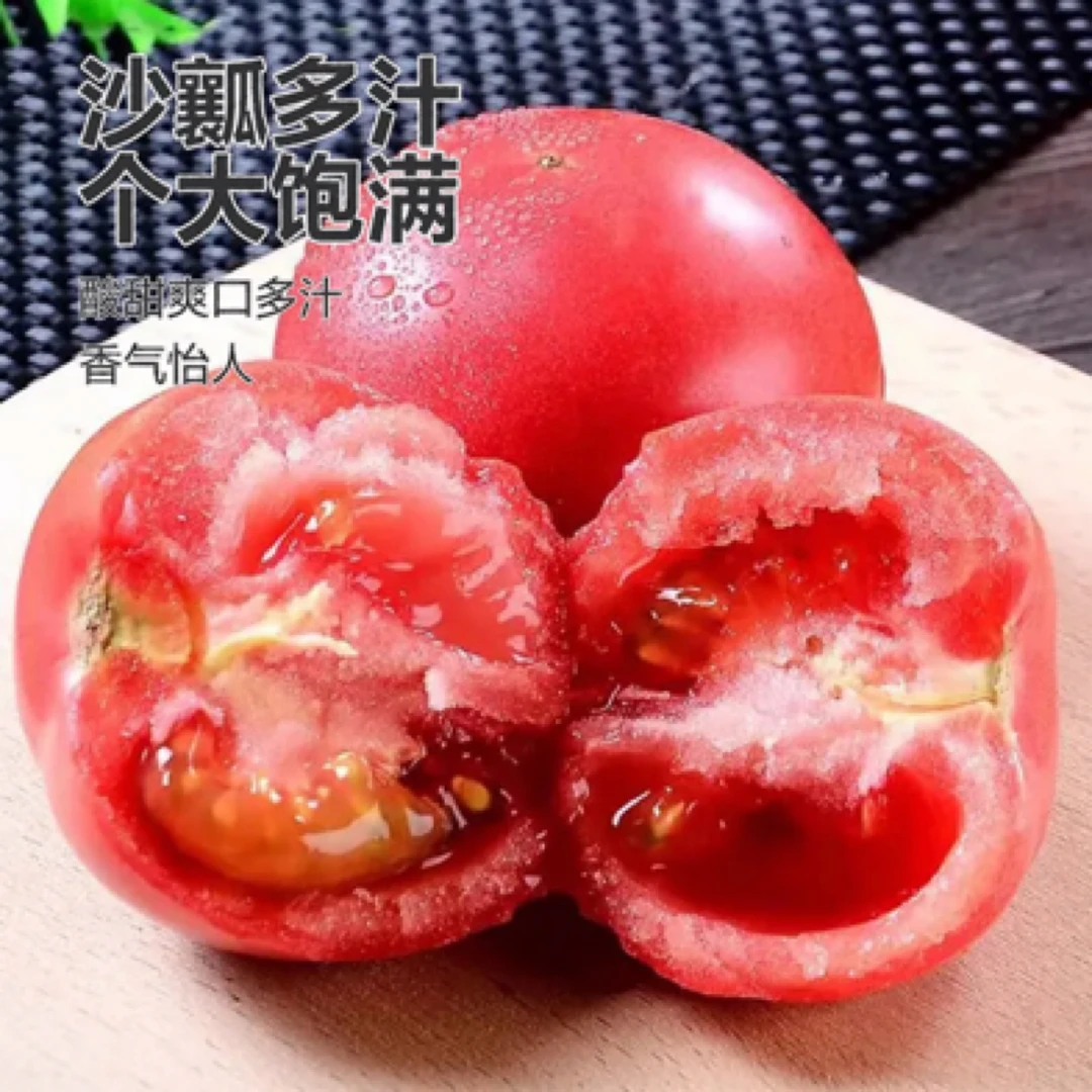【小薇助农】自然成熟 老品种西红柿 现摘现发沙瓤多汁 发货8分熟