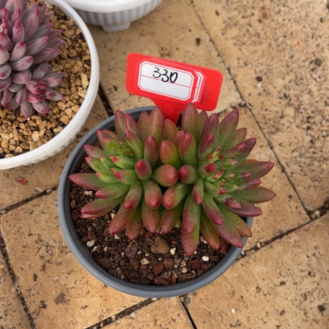 330。