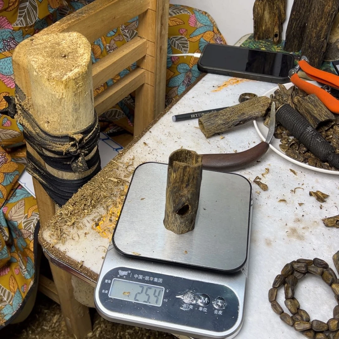 线香奇楠虫漏香25克