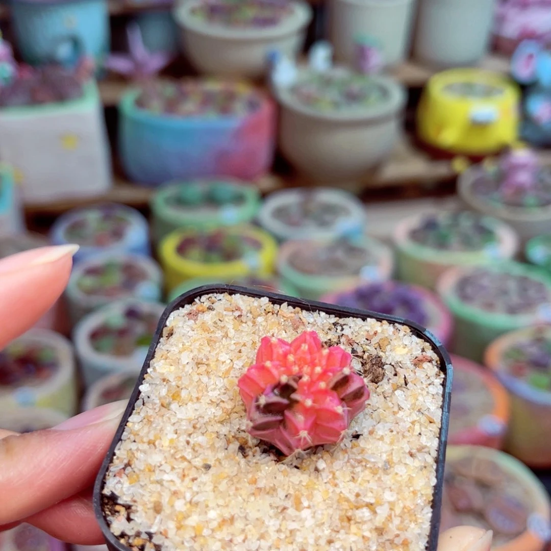 114。888888888888888