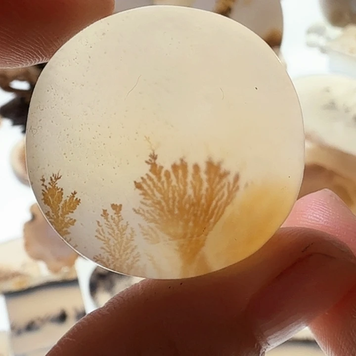 玛瑙/玉髓未镶嵌珠宝半成品