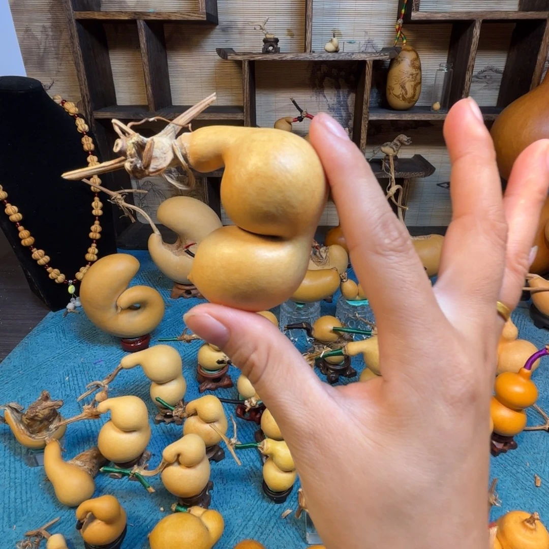老***芦精品蚂蚁嘎嘎漂亮哦