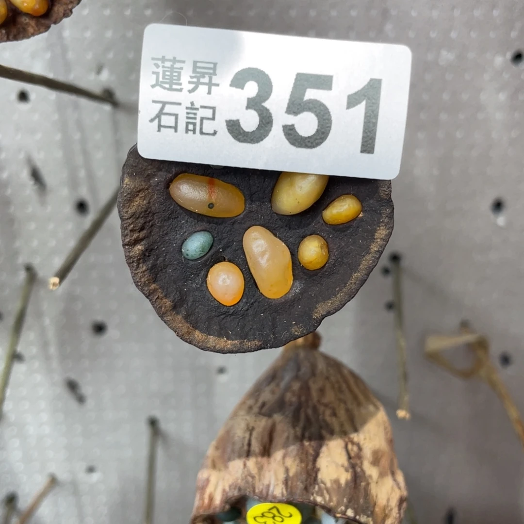 核桃木/黑胡桃（胡桃木）安****子351