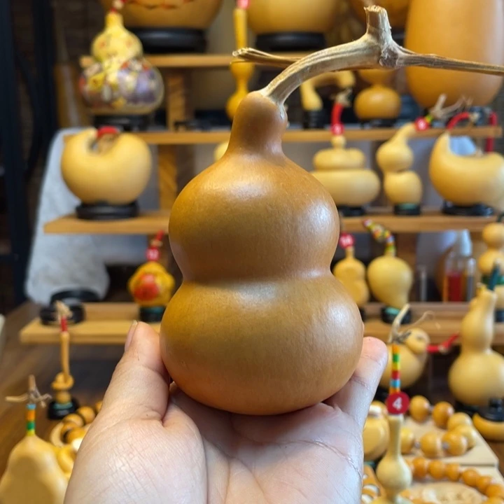 闹***天然葫芦自然生长