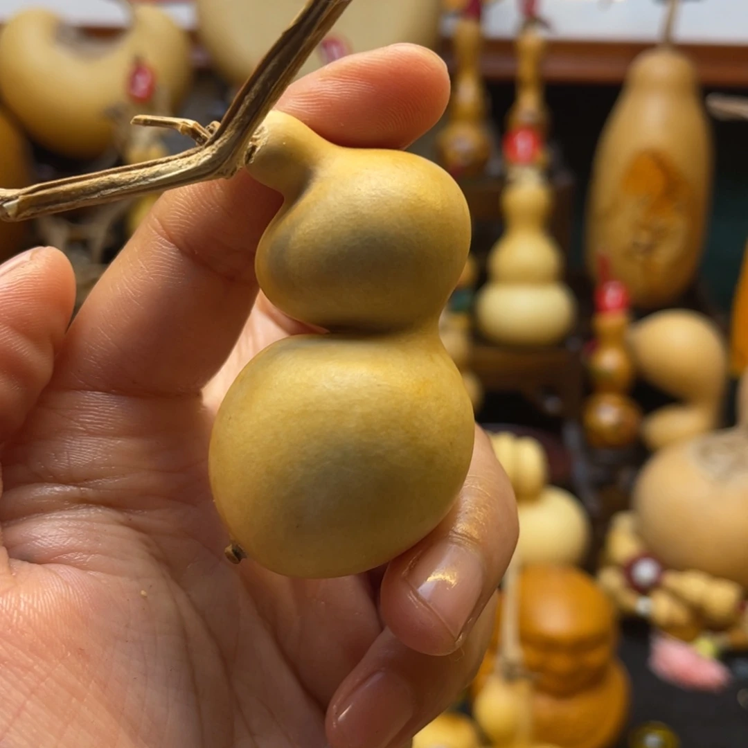 P****…大自然的秘密是什么啊哈哈我笑的