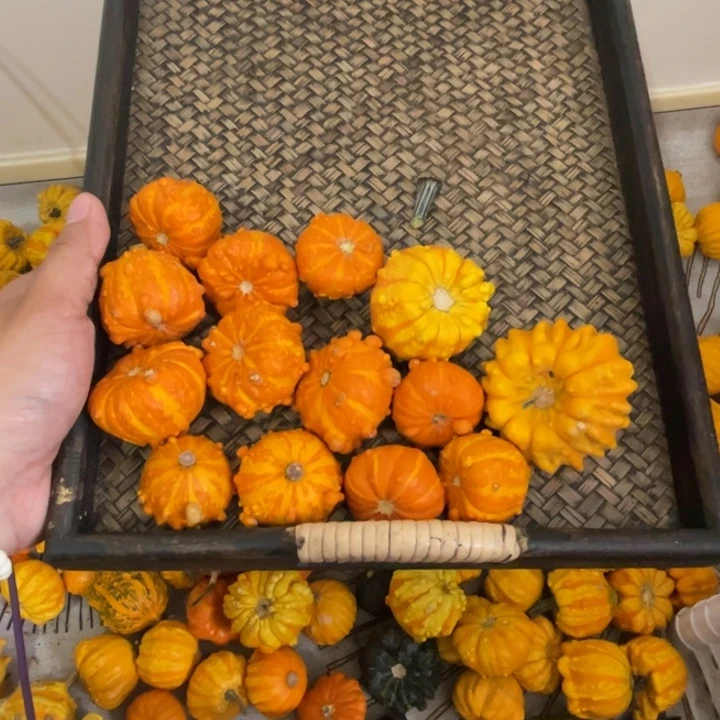 -****966666666666666666666