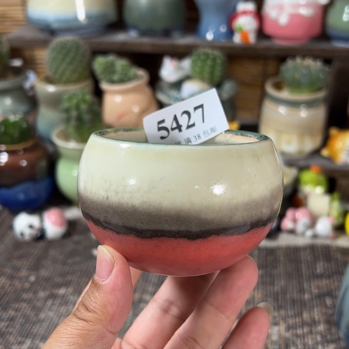 口6 手工花盆满30包邮