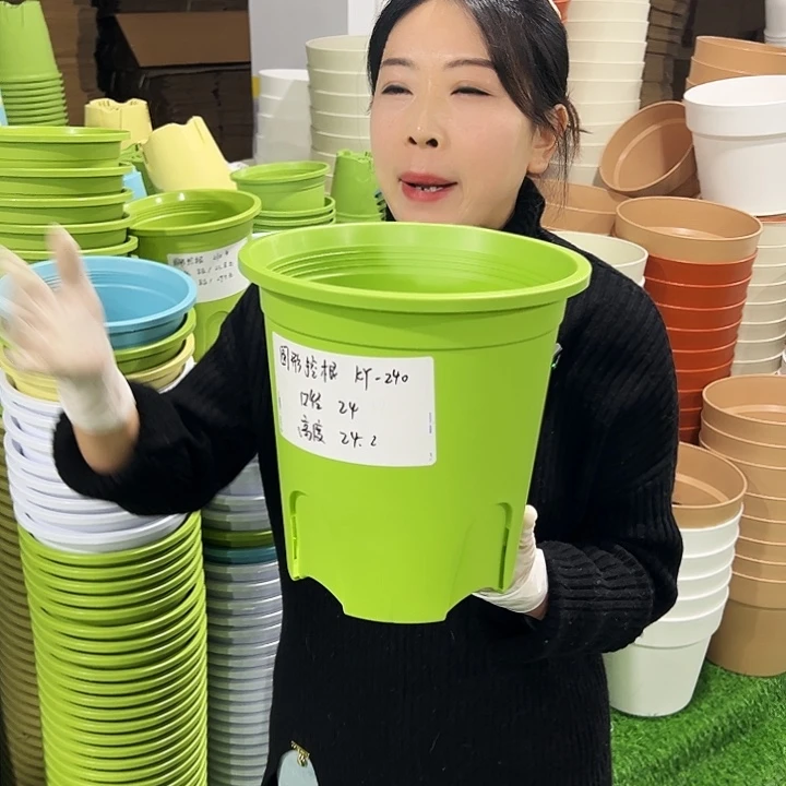 正品圆控口24高24白色8只无托