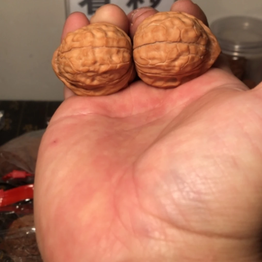 【闪购商品】文玩核桃把件啊*龟甲纹