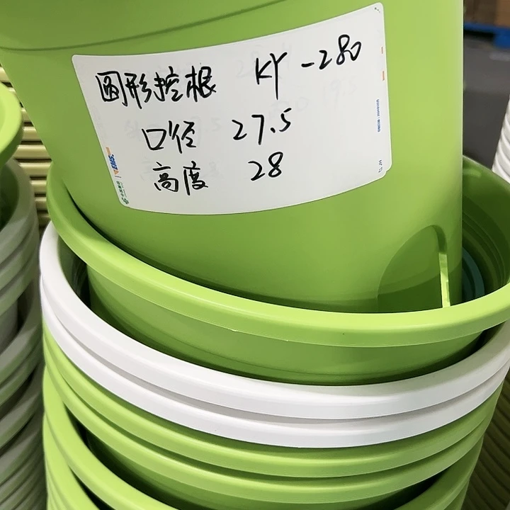 万***红正品圆控口27高28果绿色20个无托