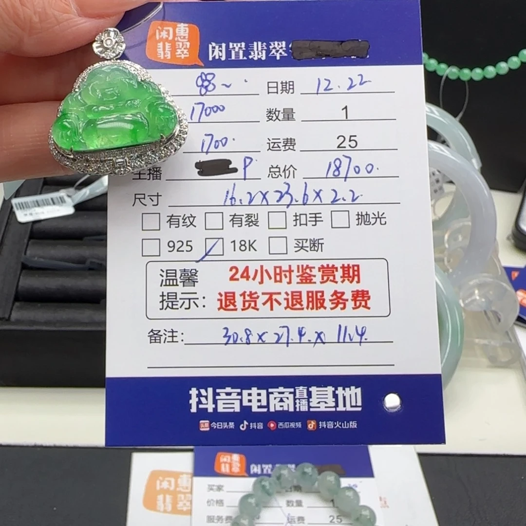 ****.翡翠18K金镶嵌颈饰