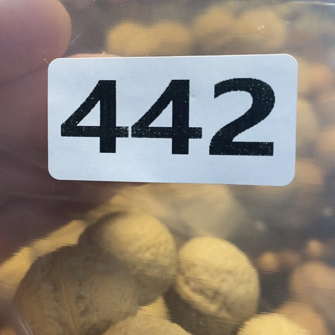 吊坠橄榄核恭*你