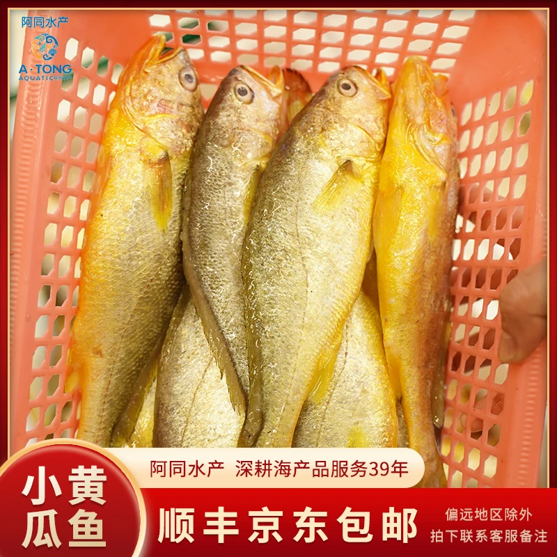 【阿同水产】黄瓜鱼肉嫩鲜甜