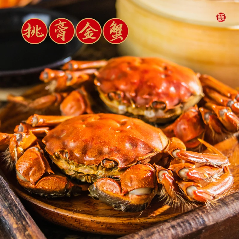 【活蟹】纯母蟹3.4-3.7两 6只/8只 大闸蟹 顺丰