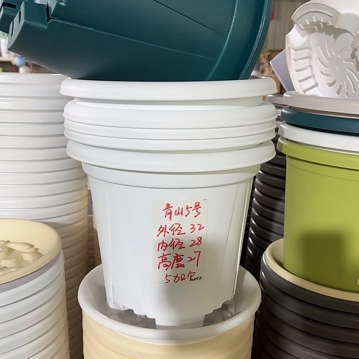 青山5#口径32带托纯白30套