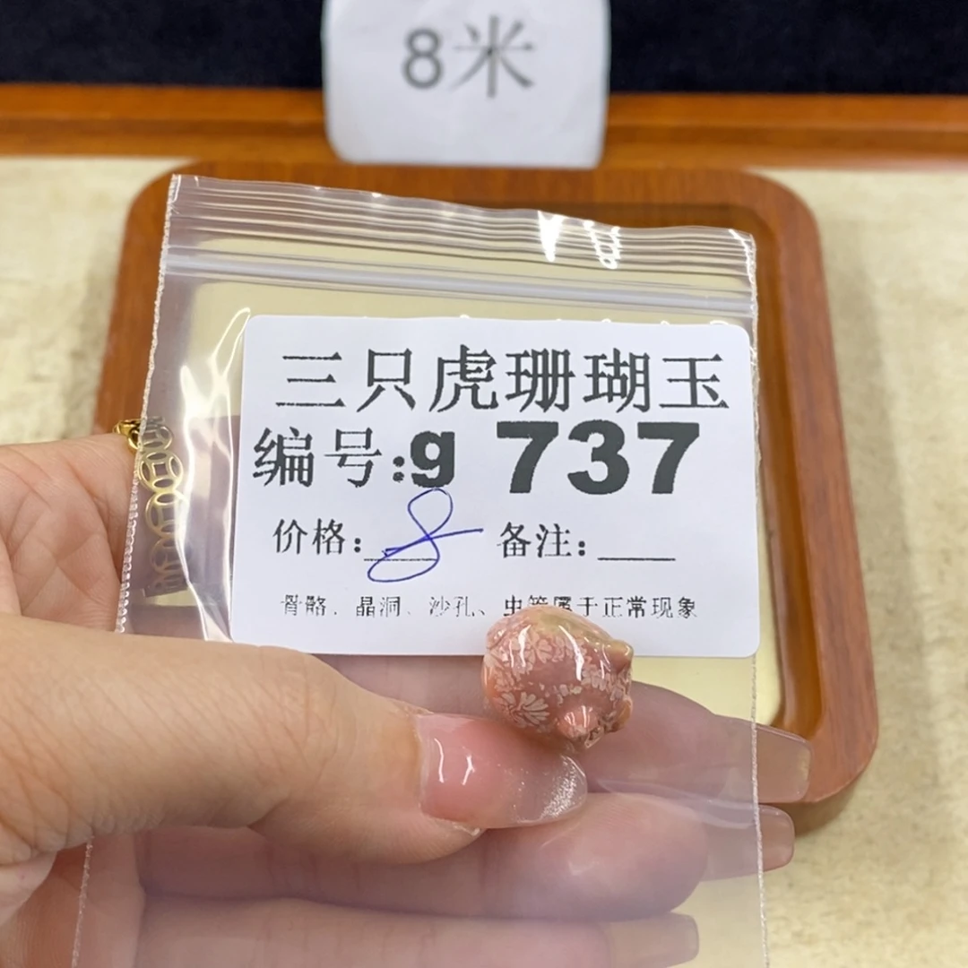 硅化珊瑚（珊瑚玉）未镶嵌1白*