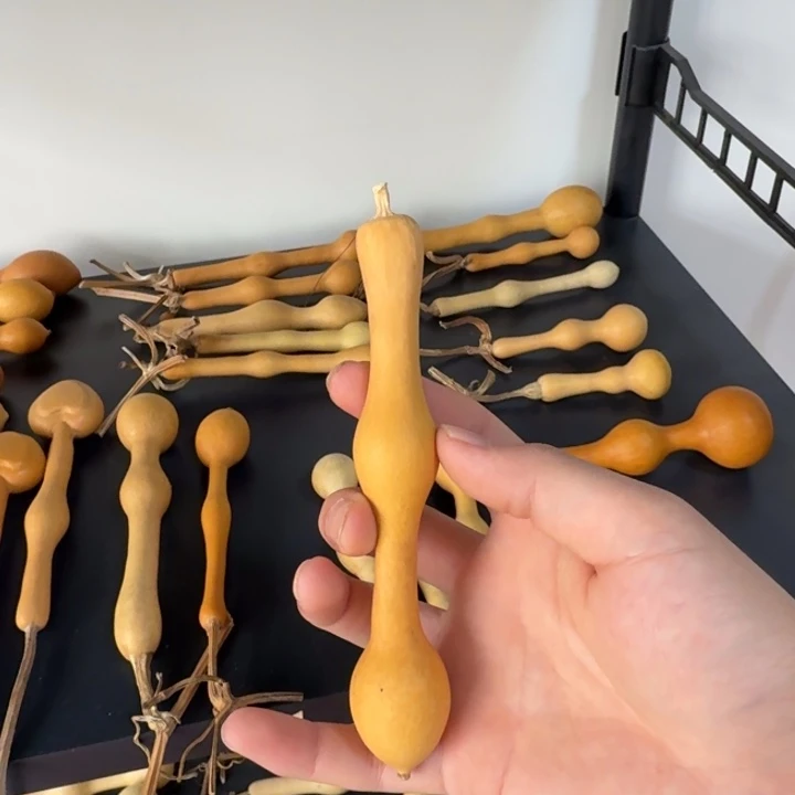 豆***。精品杆子老皮周正