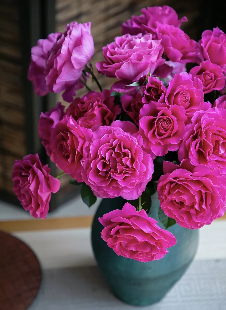 【曼舞多头玫瑰】任意两单及两单以上鲜花顺丰包邮发货