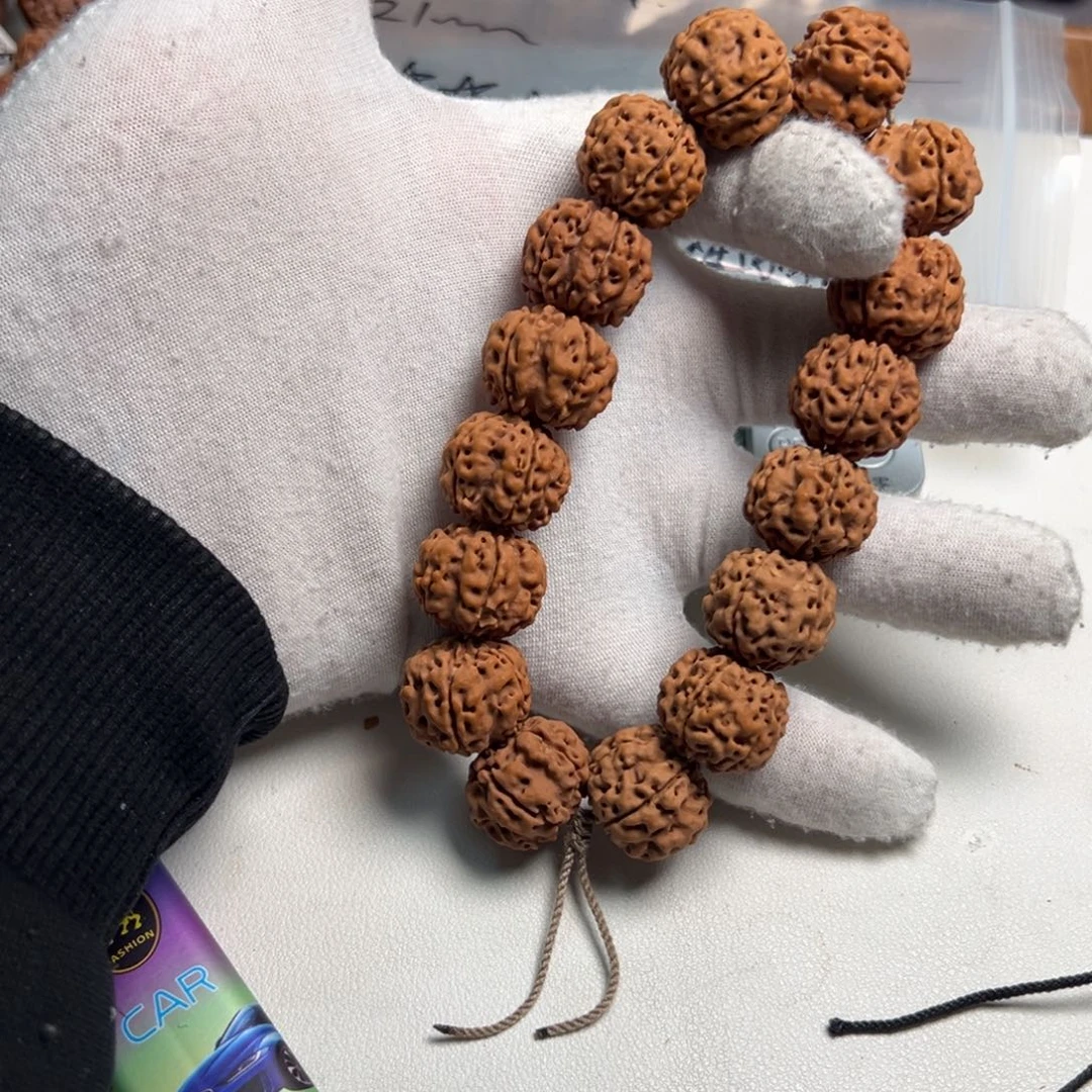 金刚菩提手串龙骨