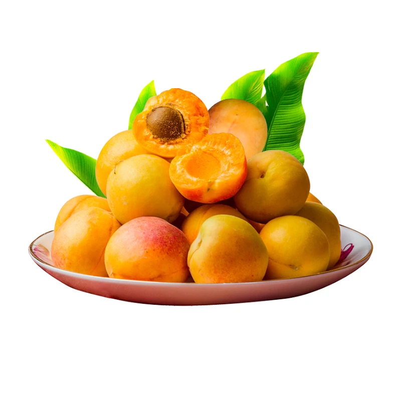 【成都仓-顺丰发货】新疆小红杏吊干杏新鲜应季香甜多汁现摘水果