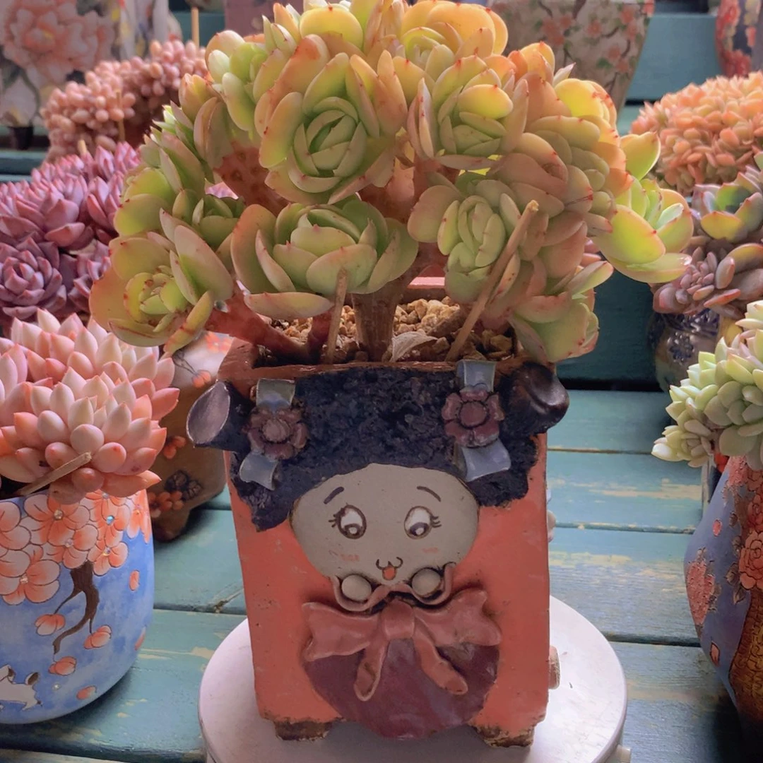 碧桃朵朵自然群无砍老桩