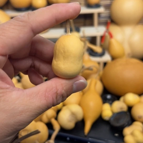 素*鼓楼贴膜哦啊哈哈Tony老师