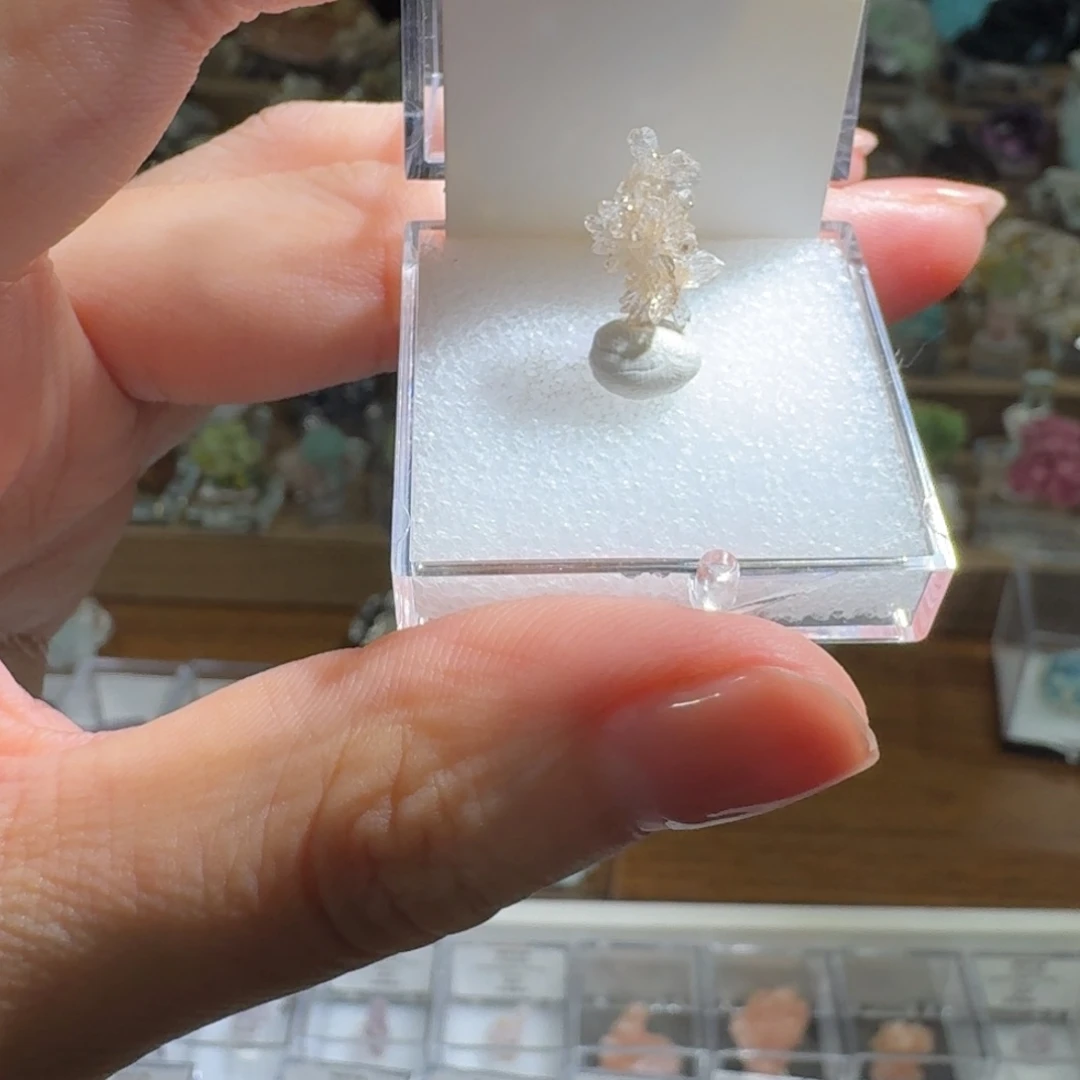 吗****月下珠宝严选矿物