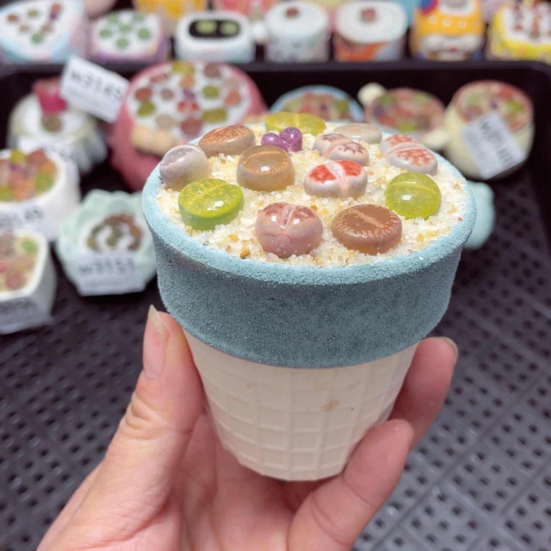 w3154 -零下地区拍保温箱-15支持寄养