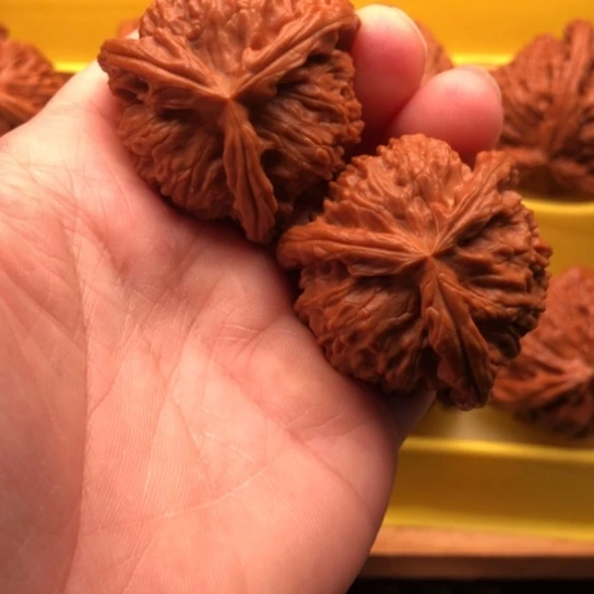 观***在文玩核桃吊坠核桃