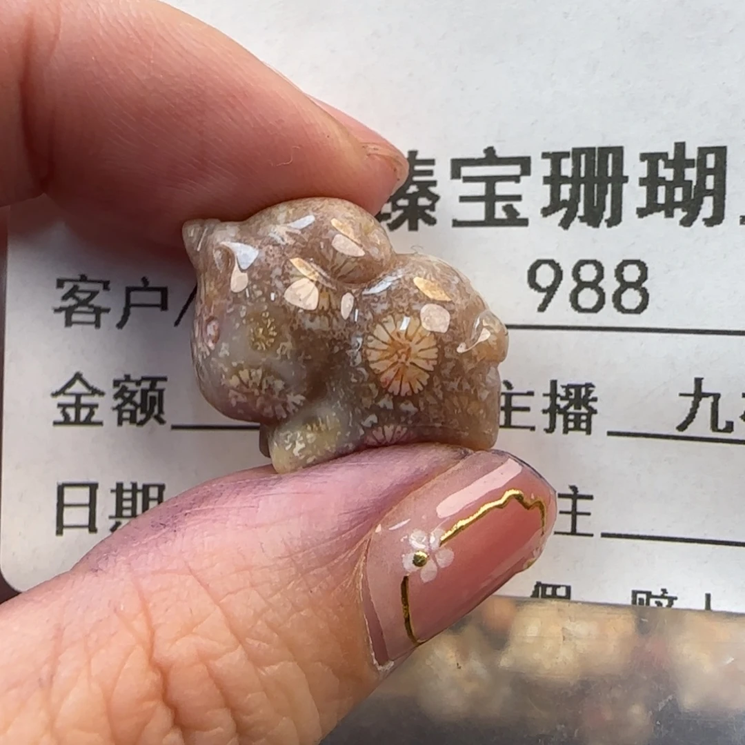 硅化珊瑚（珊瑚玉）未镶嵌颈饰