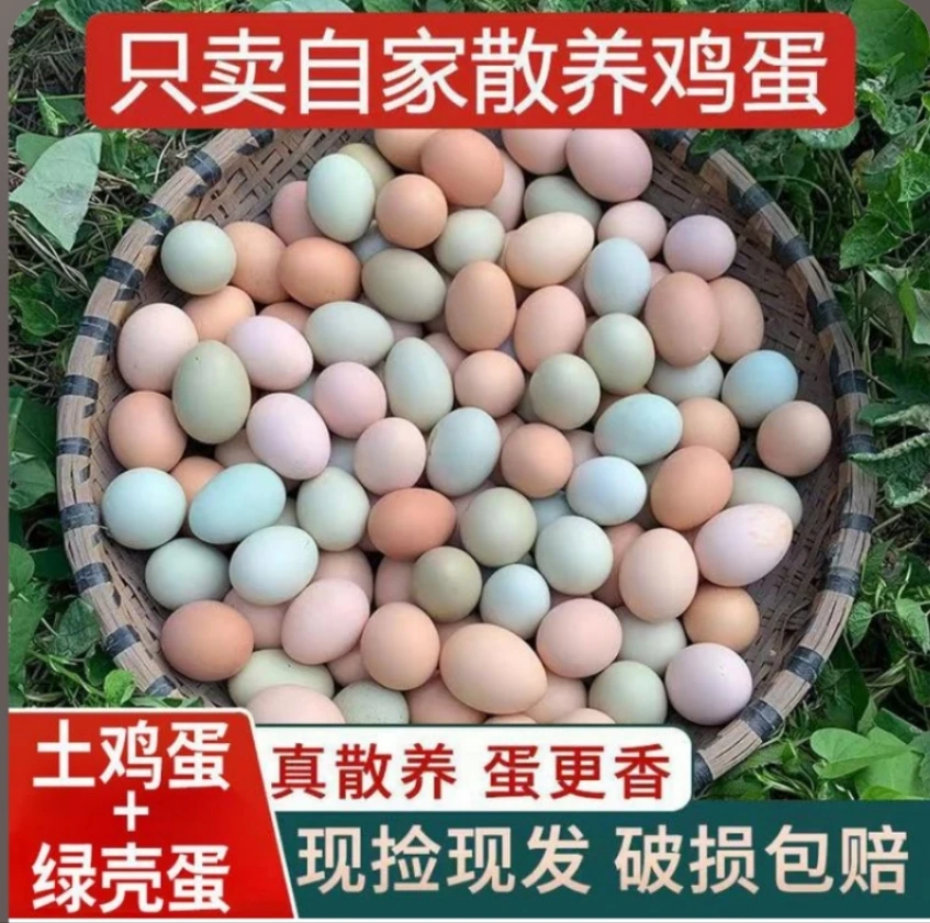 《大唐周村长精选》农家散养鸡蛋