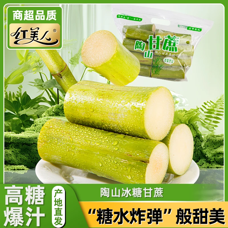 【玉米咔咔专属】陶山青皮甘蔗新鲜水果当季特产绿皮甘蔗手撕甘蔗