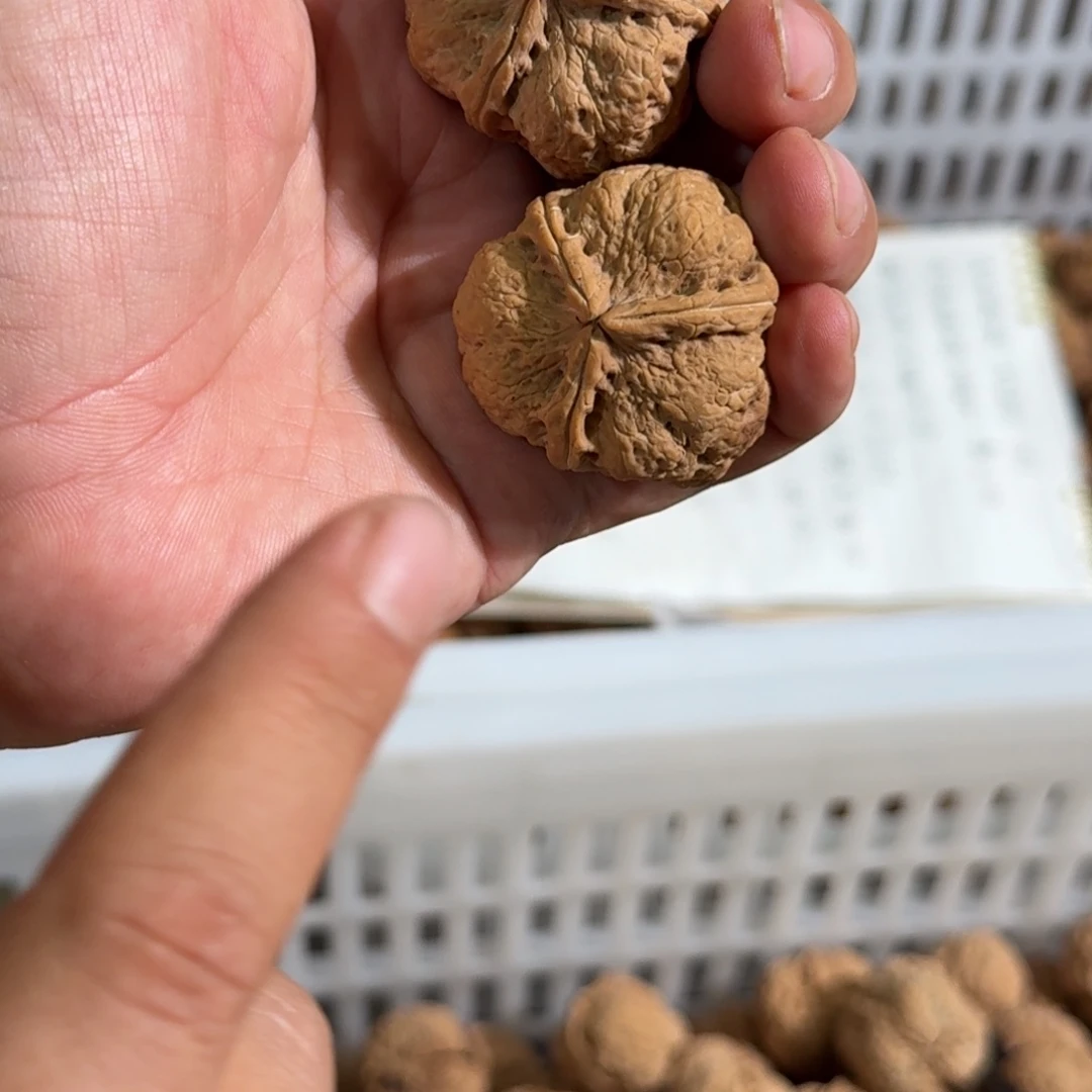 把件文玩核桃铁2平头蟾王正奔