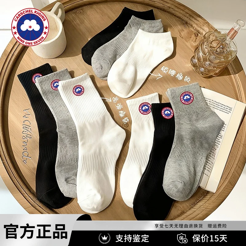 加拿大CARSCHEL KIGINS加鹅正品袜子四季棉中长筒袜防臭无骨短袜
