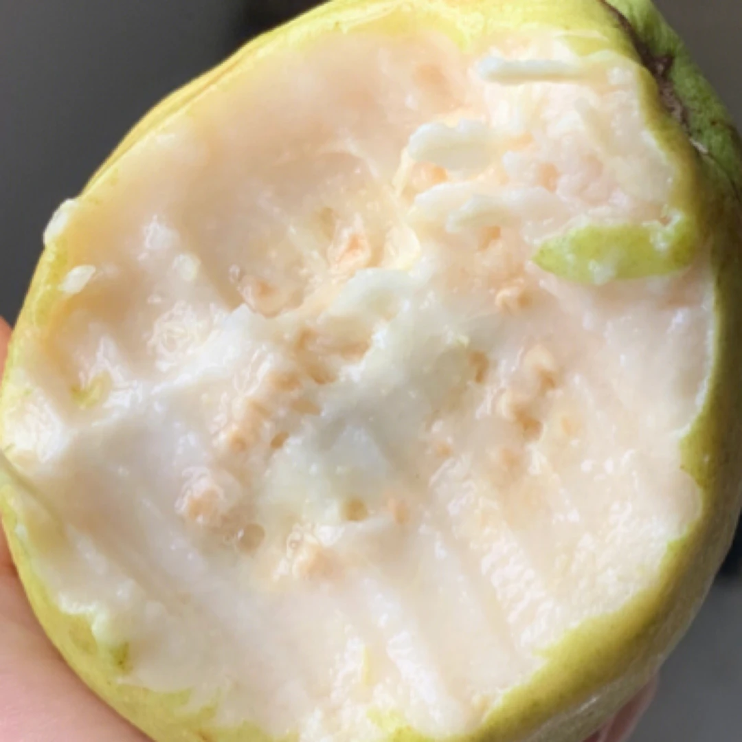 【口感惊艳】树熟奶油芭乐1箱3斤 口感真的好