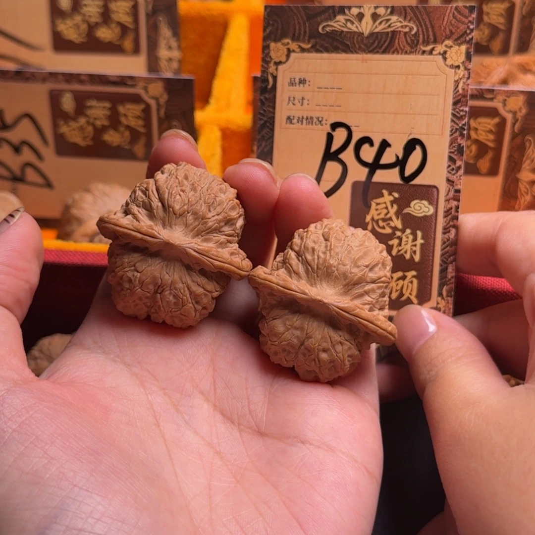 核桃b40血麒麟11111