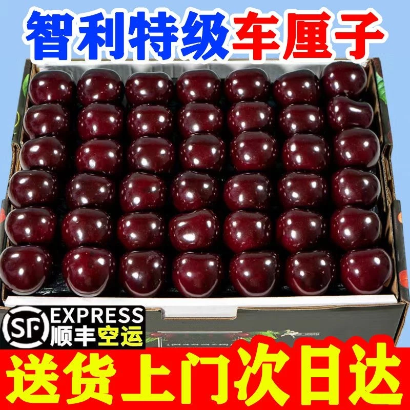 3JD果王【5斤原箱 · 明天到】顺丰智利进口车厘子海运新鲜水果礼盒内附果径卡⭐️桑提娜樱桃智利共和国