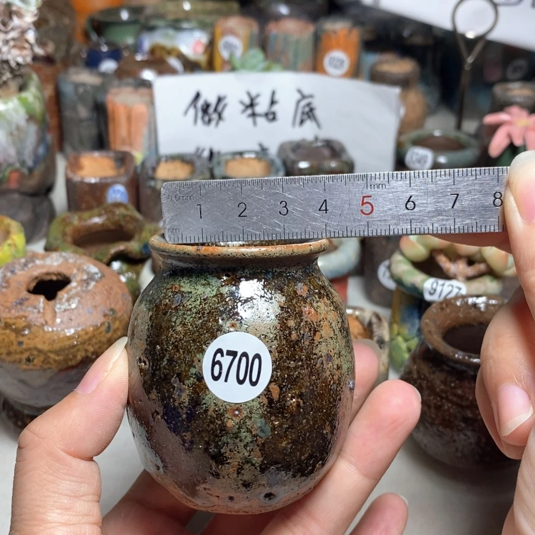 拍5送一个小礼物