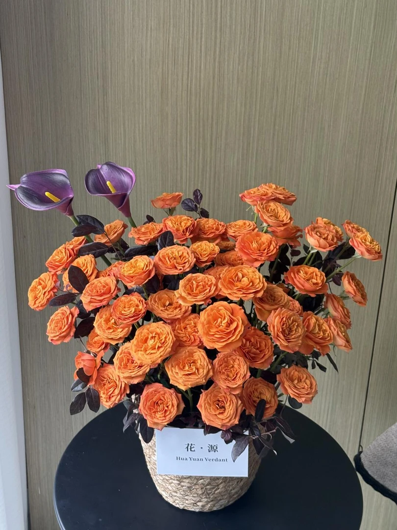 【高端玫瑰】A级橙芭比多头玫瑰云南基地直发发顺丰水养情人节送礼