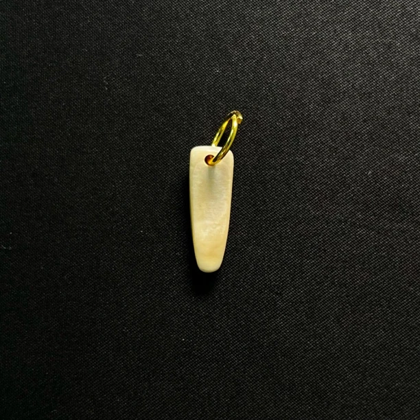 PCS53 牙尖 只做天然猛犸牙