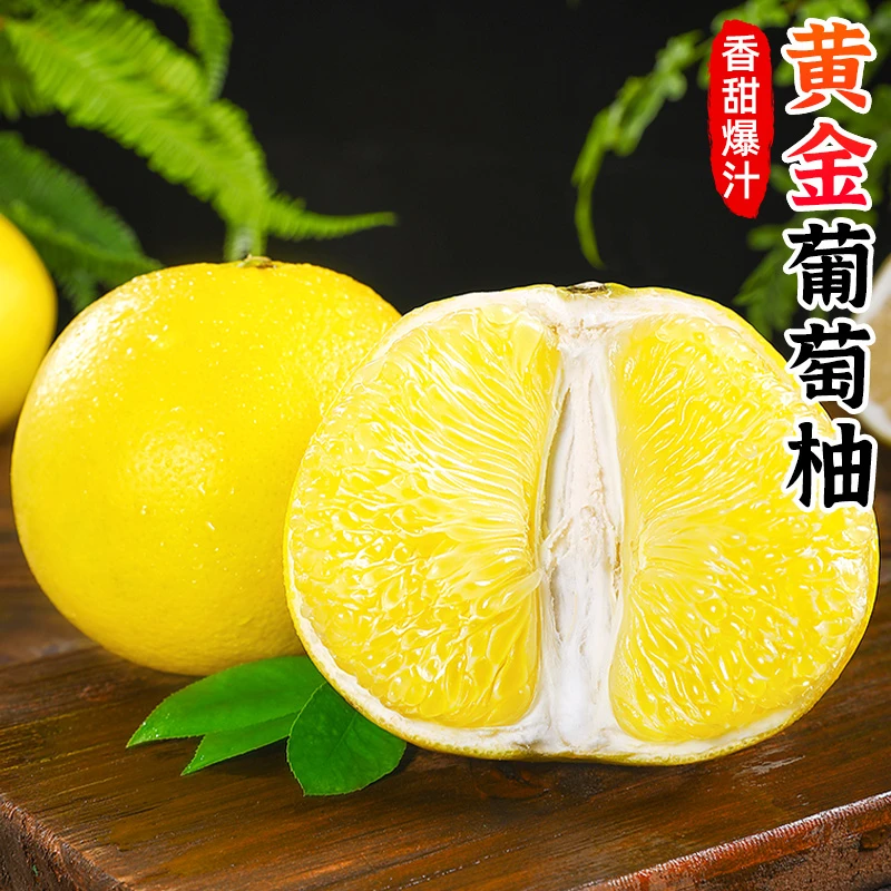 【精美礼盒】黄金葡萄柚3-9斤柚子黄柚黄肉蜜柚西柚香甜新鲜水果