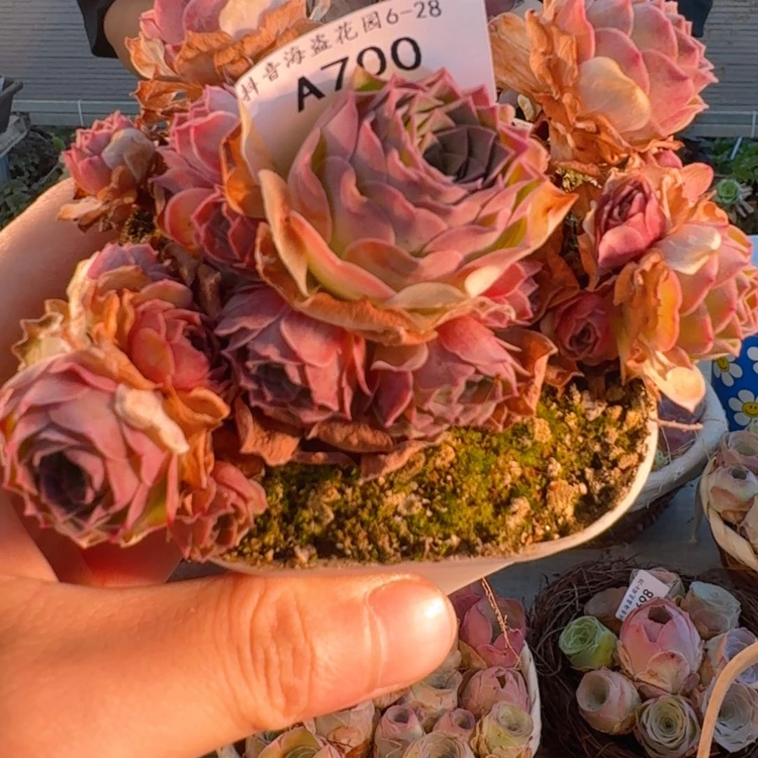 ****吖A700 福袋链接福袋