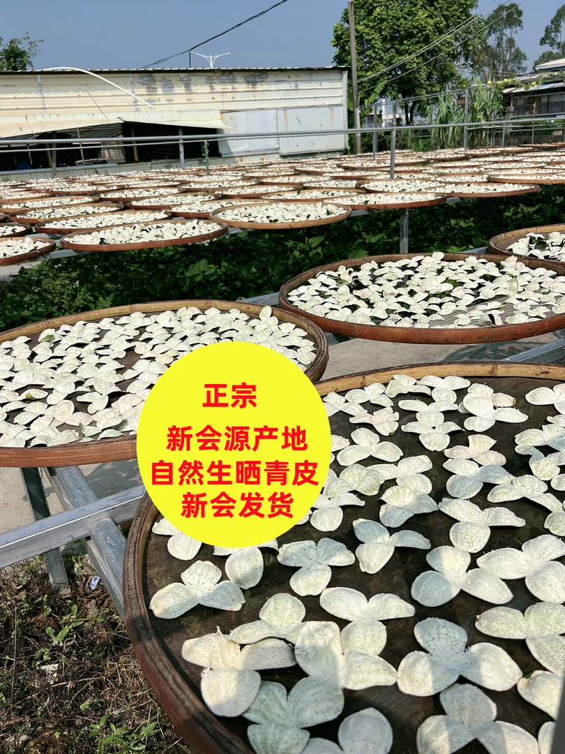 2025天马正宗圈枝青皮陈皮干家家必备款特产（拼柑宝）