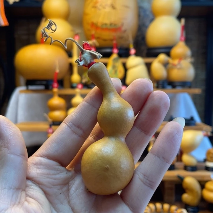 6***6天然葫芦自然生长