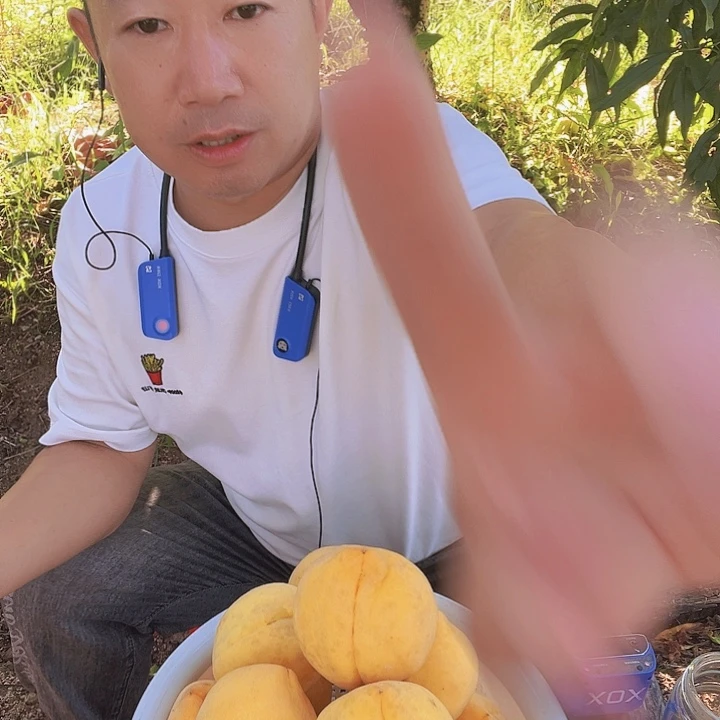 开***房南充充国香桃锦绣黄桃
