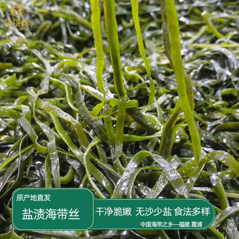 海得辉霞浦盐渍海带丝干净无沙福建特产新鲜水产火锅凉拌食材细丝