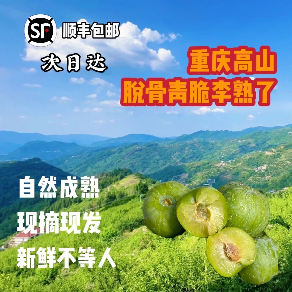 重庆高山青脆李青脆脱骨李李子现摘现发原生态种植不人工干预全国多仓发货今天拍次日顺丰包邮到家大果重庆市
