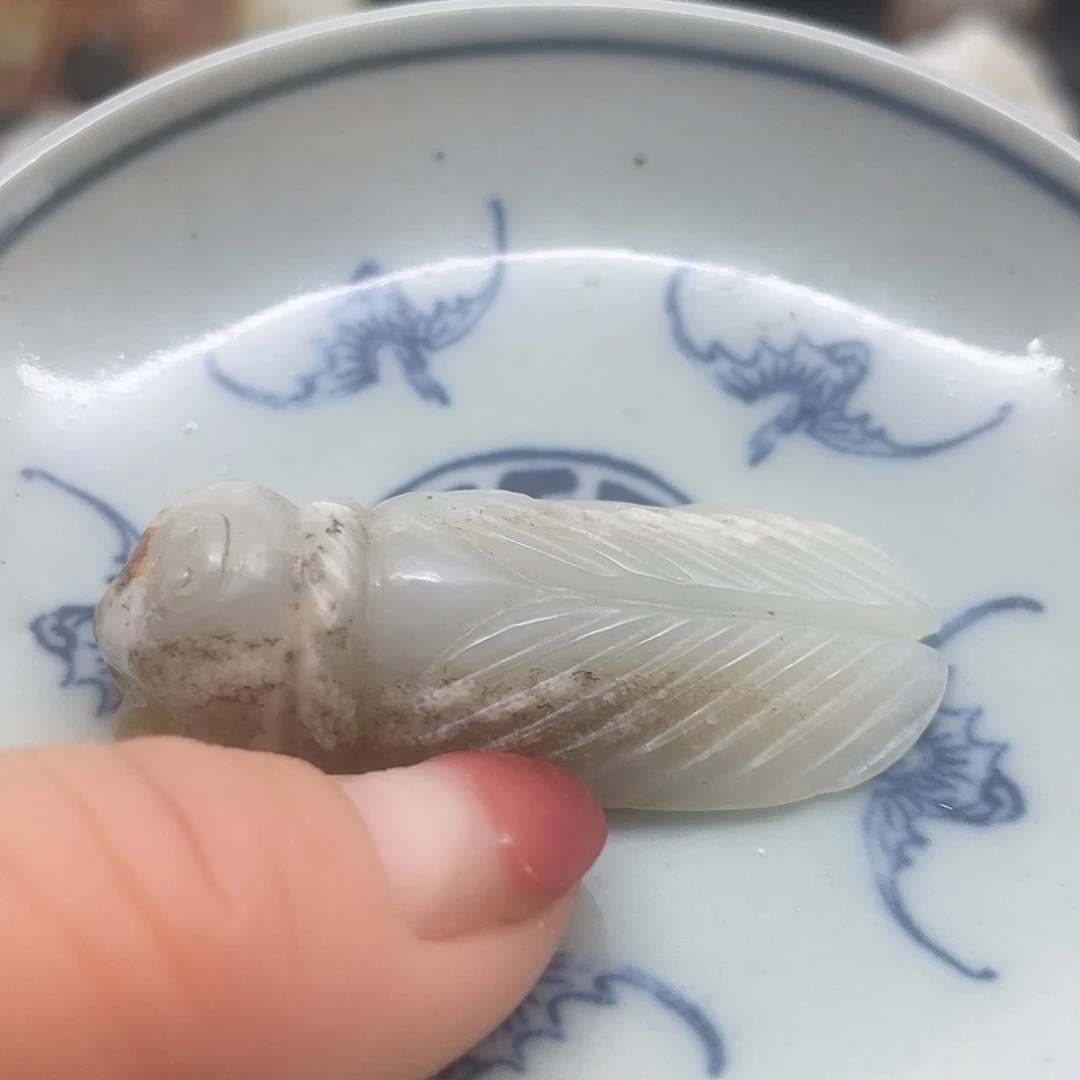 瓷片五福献寿小碟子